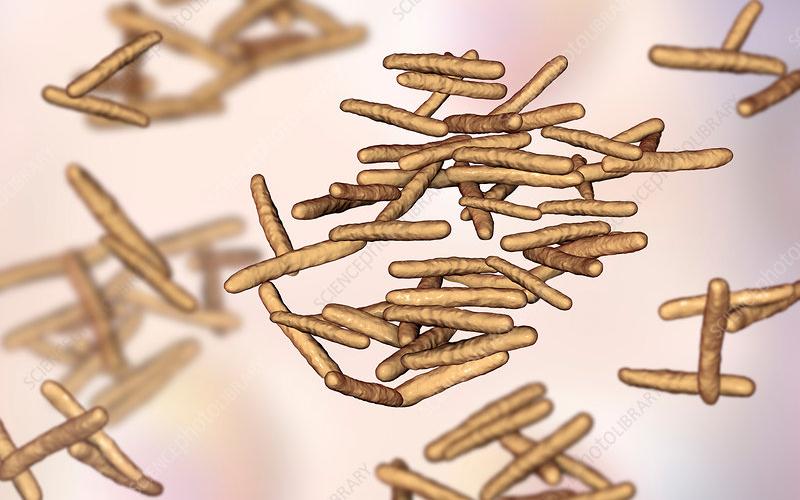 Study Highlights Variability in Milk Tests for Johne's Disease Detection