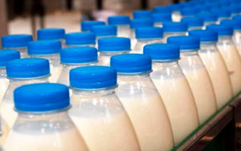 UK Dairy Exporters Gain Relief as Egypt Drops Halal Certification Requirement