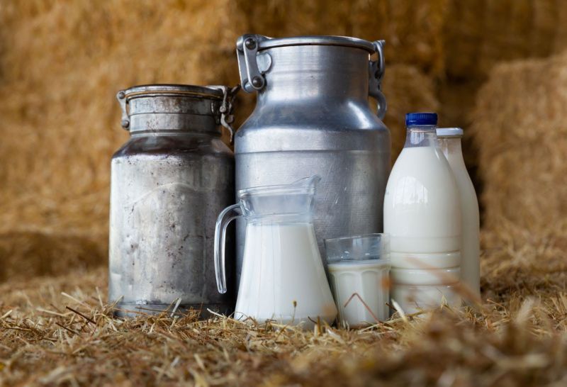 查谟和克什米尔提高牛奶价格以支持乳制品农户