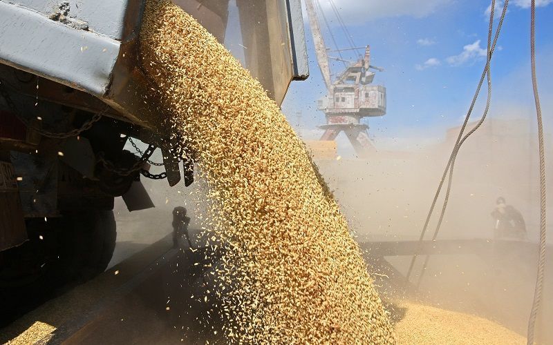 Казахстан увеличил за год экспорт зерна на 24%