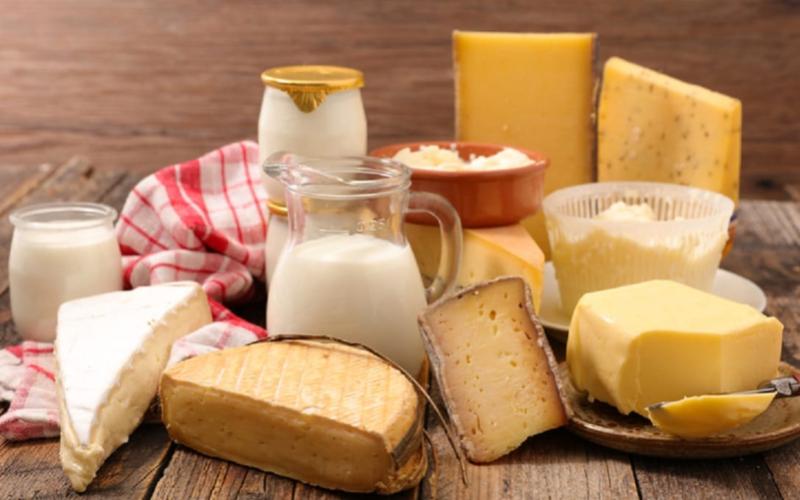 İrlanda Süt Modeli Yeni AB Süt Düzenlemelerine Uyum Sağladı