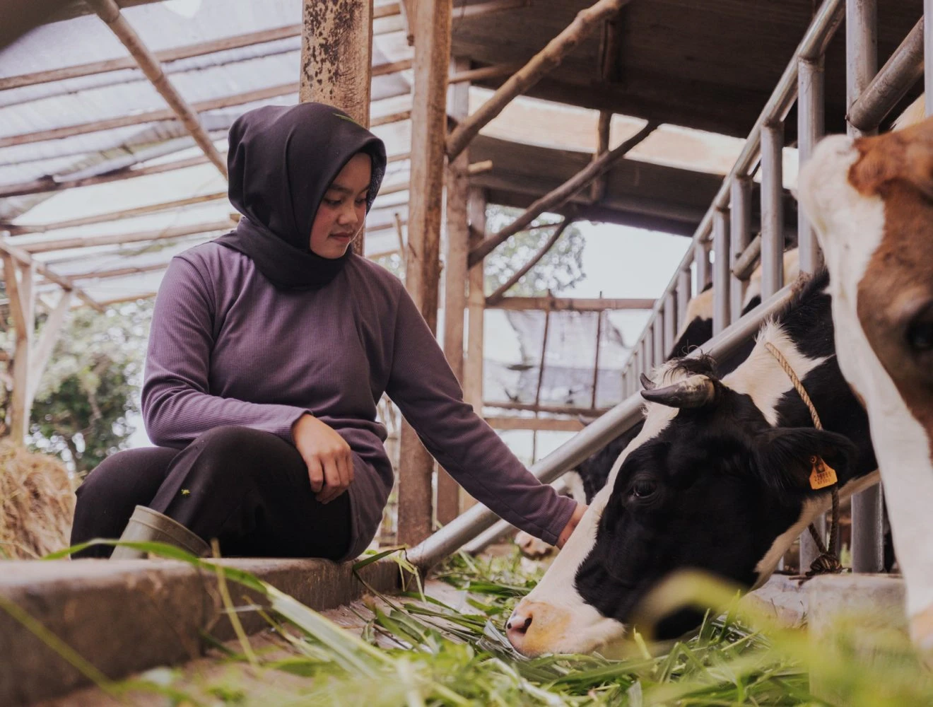 FrieslandCampina and Ultrajaya Form Strategic Partnership in Indonesia