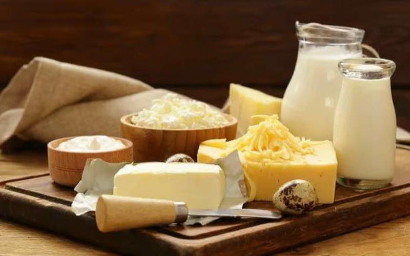 Uruguay'un Afrika'ya Süt Ürünleri İhracatı 2025'te %55 Arttı