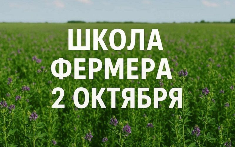 Школа фермера: про здоровье и продуктивность коров
