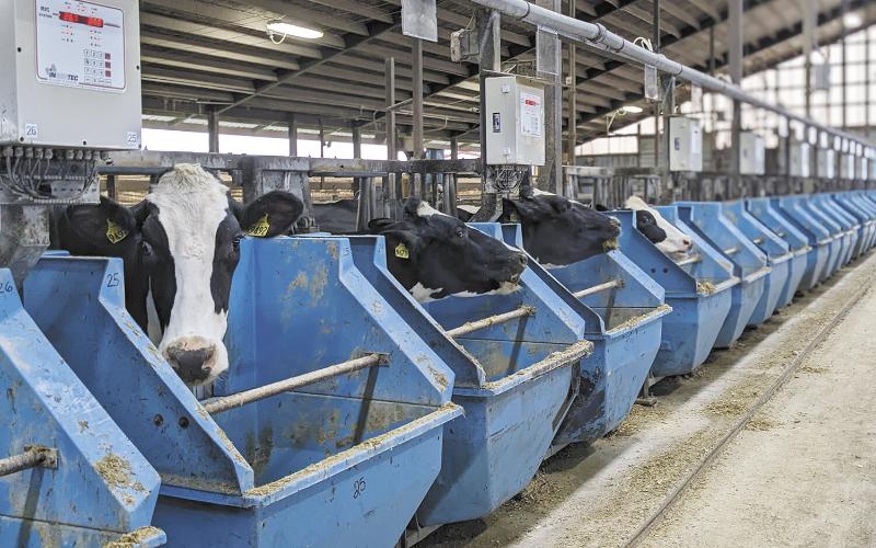 Wisconsin Dairy Summit to Highlight Innovative Research