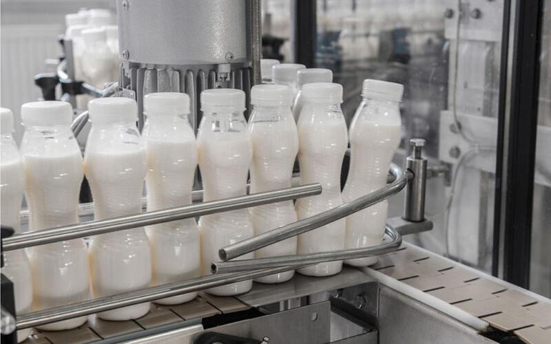 Crisis Transforms Dairy Sector: Local Brand Booms