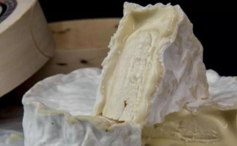 Sales of Mold Cheese in Russia Increased by 6% in 2025