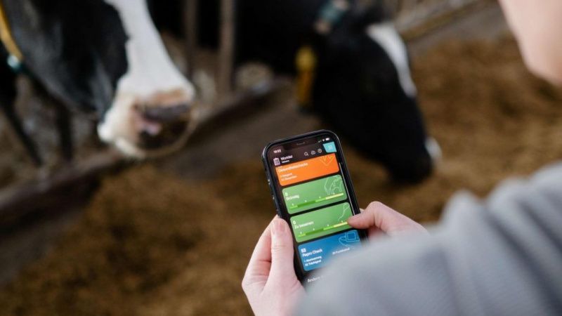 GEA, Avustralya'daki Süt Sürüleri için CowScout Cloud'u Başlattı