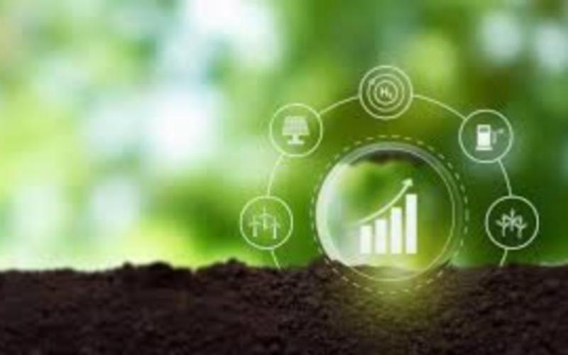 FrieslandCampina Launches Regenerative Agriculture Pilot in the Netherlands