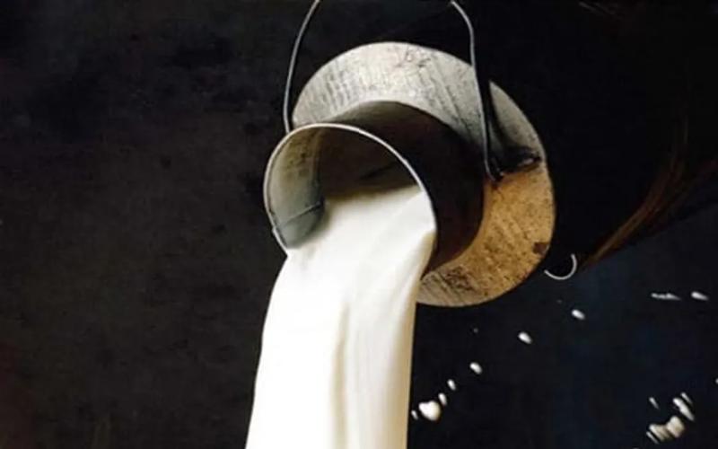 Jammu & Kashmir Aims for 20% Increase in Milk Processing Capacity