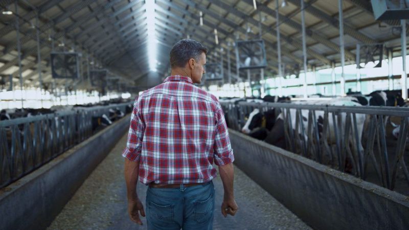 Survey Seeks Dairy Farmers' Input on Industry Support in Ireland
