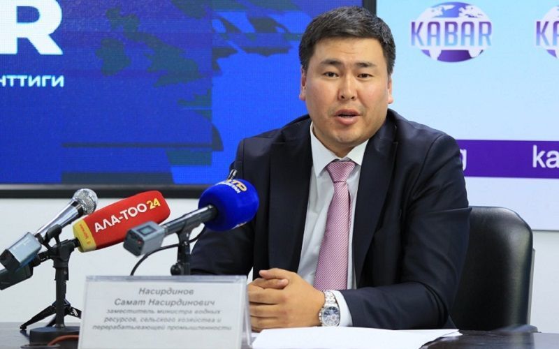 Заместитель главы Минсельхоза Кыргызстана задержан по обвинению в коррупции при экспорте скота