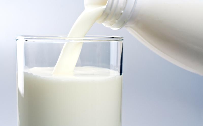 Chile's Dairy Trade Balance: Deficit Persists Despite Export Growth