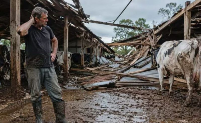 Severe Weather Challenges Dairy Farmers in Rio Grande do Sul