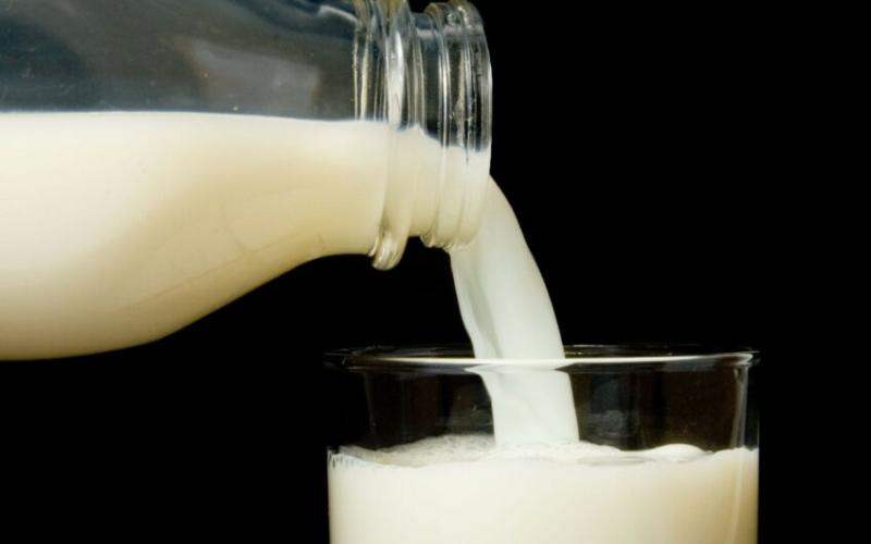 Argentina Faces Sharp Decline in Dairy Sales