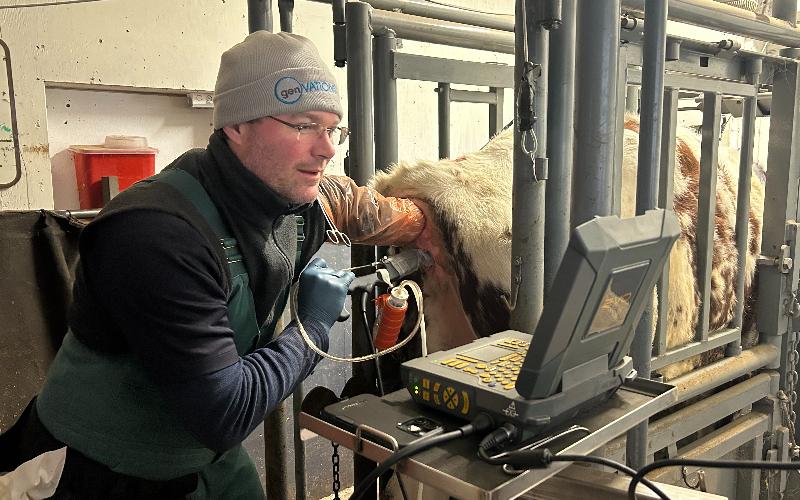 GenOvations Opens Its Doors: A Highlight Stop on Dairy Rally 2025