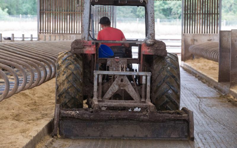 Llamadas para incorporar la producción de alimentos en el currículo del Reino Unido ante la escasez de habilidades