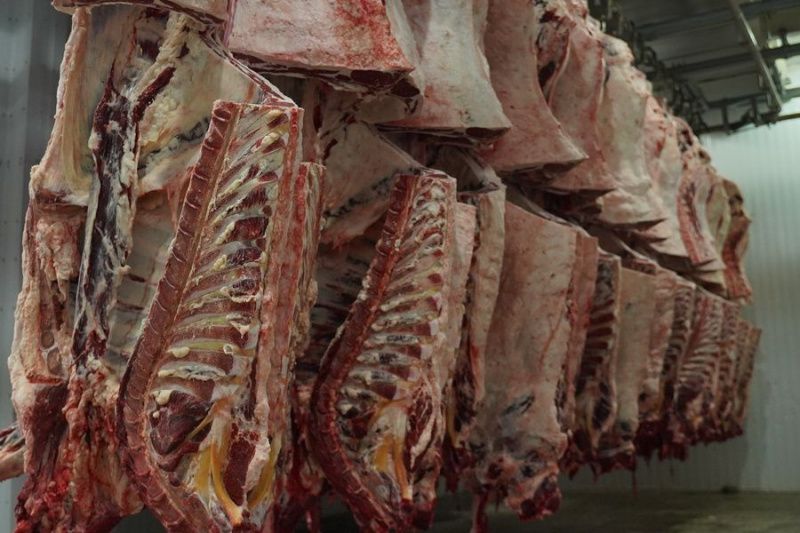 Туркестанская область увеличивает экспорт мяса