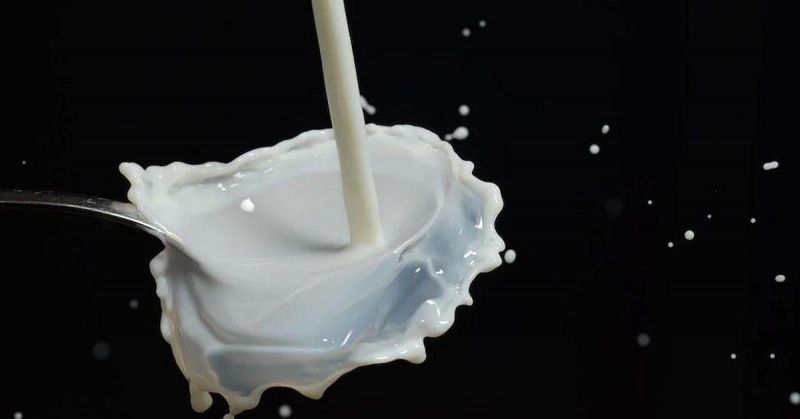 Global Dairy Regions Show Diverging Market Trends