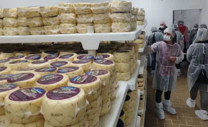 Productores de lácteos de Rio Grande do Sul buscan innovaciones en Minas Gerais