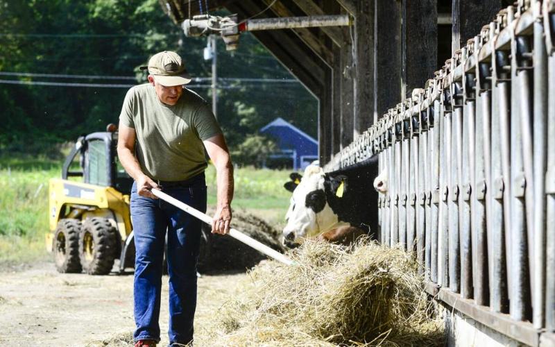 Vermont’s drought hits dairy farms: feed, water, and cash flow under pressure