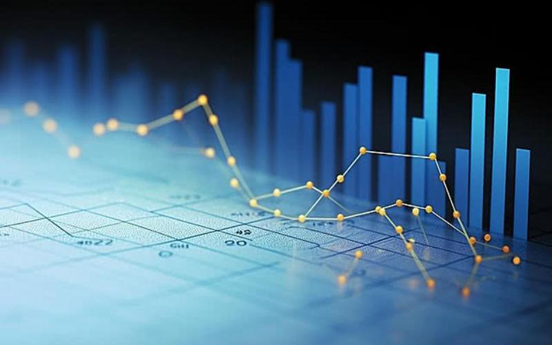 انخفاض إنتاج الألبان في يوكاتان وسط ارتفاع إنتاج اللحوم