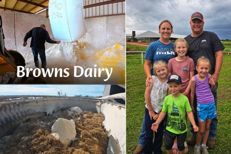 Browns Dairy reduce los costos de alimentación en un tercio usando subproductos de harina