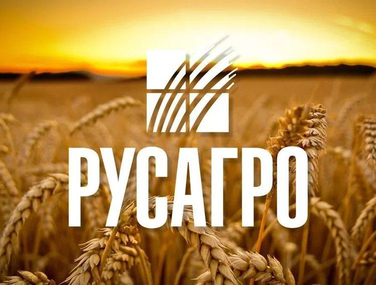 Минсельхоз определит стратегию управления акциями «Русагро»