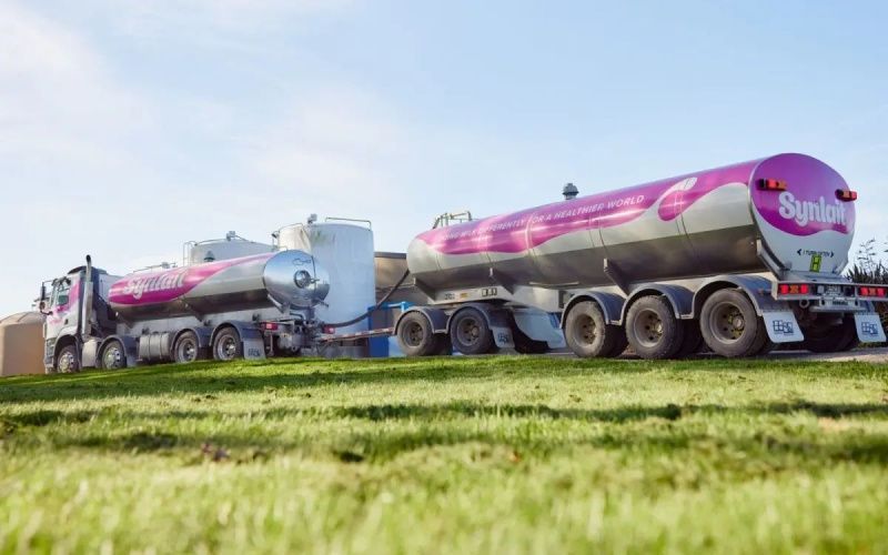 Synlait reported a $75.4m full-year loss