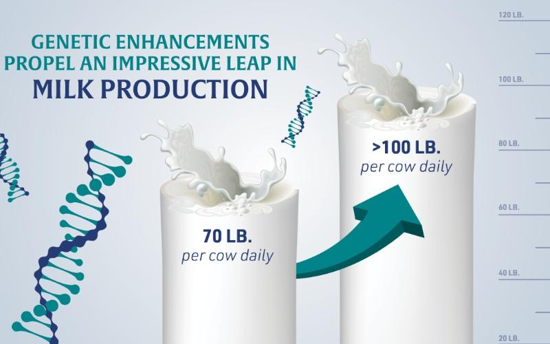 Genetic Advancements Propel U.S. Dairy Production by 70% to Meet Global Demand Genetic Advancements Propel U.S. Dairy Production by 70% to Meet Global Demand