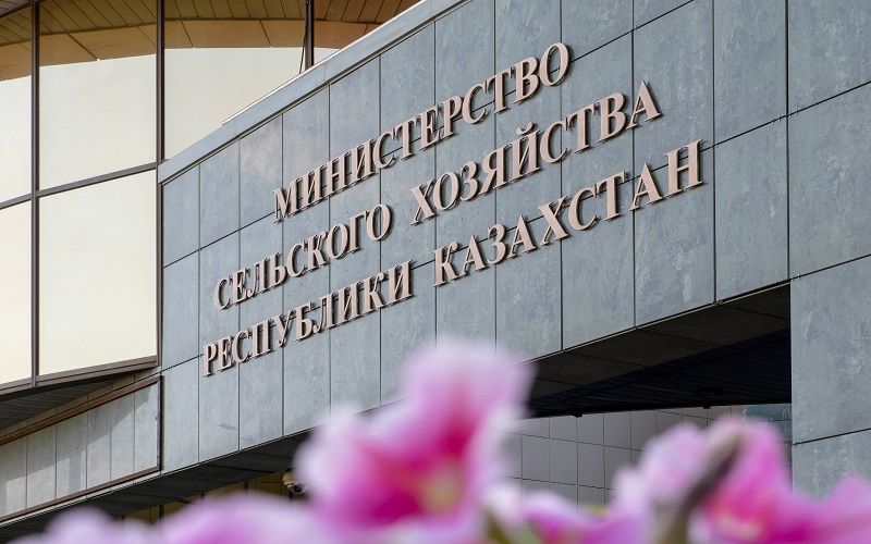 Минсельхоз Казахстана передумал отменять субсидии на строительно-монтажные работы