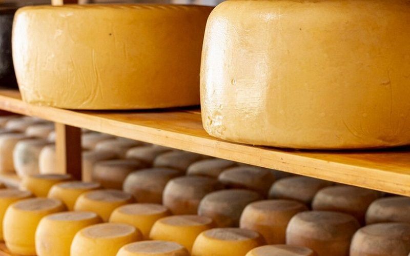 Dale Farm Launches Major £70 Million Cheddar Production Expansion