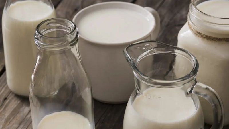 صناعة الألبان في المكسيك: الكفاءة وتحديات السوق