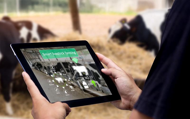 Vice President of Switzerland Visits West Java to Promote Digital Transformation in Dairy Sector