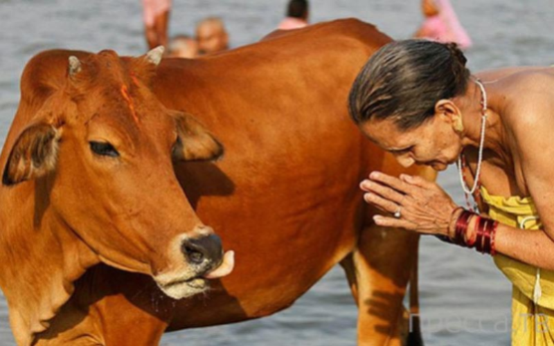 India’s Food Security at Risk? Tariffs on US Farm Goods Spark Debate!