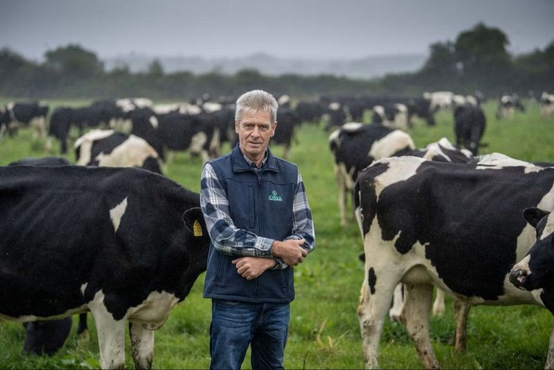 Irish Dairy Farmers Face Revenue Decline Due to Falling Milk Prices