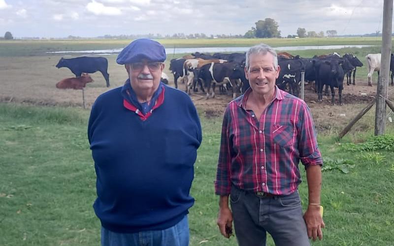Organic Milk: The Intimacy of Production for Nestlé