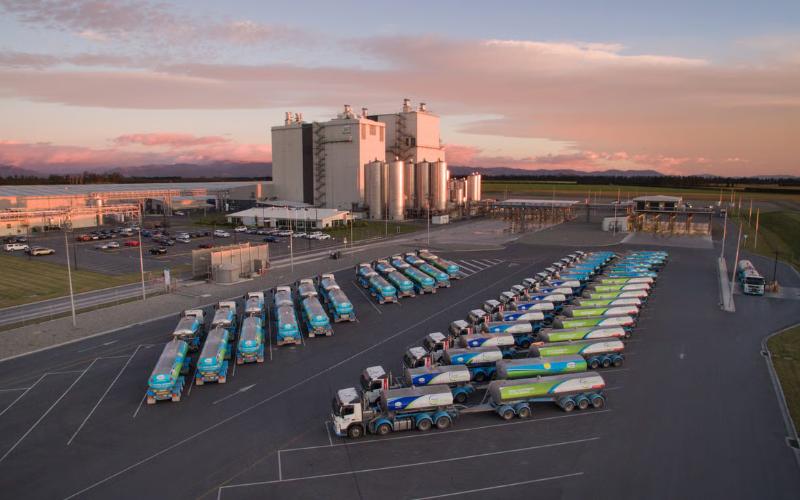 Lactalis ve Abbott, Yeni Zelanda'da Önemli Süt Ürünleri Satın Alımlarını Tamamladı