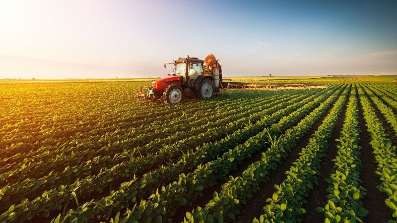 China Modern Dairy Holdings Trades 89% Below DCF Fair Value After Rally