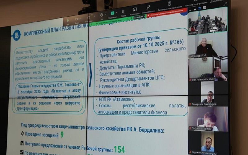 Аграриев Казахстана поддержат льготными кредитами под 5-6% и социальными пакетами: одобрен план развития животноводства на 2026–2030 годы