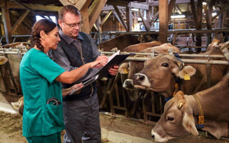 Alltech Agri-Food Outlook 2023: Болезни животных оказали негативное влияние на производство кормов в более чем 80% странах