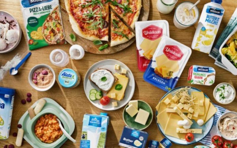 DMK Grubu'nun Güçlü Mali Yılı ve Arla ile Planlanan Birleşme