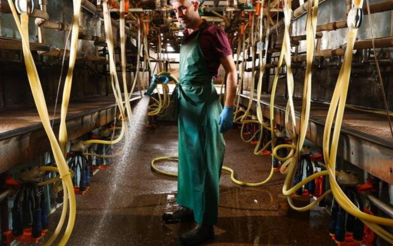 FDOM Düzenlemelerinin Birleşik Krallık Süt Üreticileri Üzerindeki Etkisi