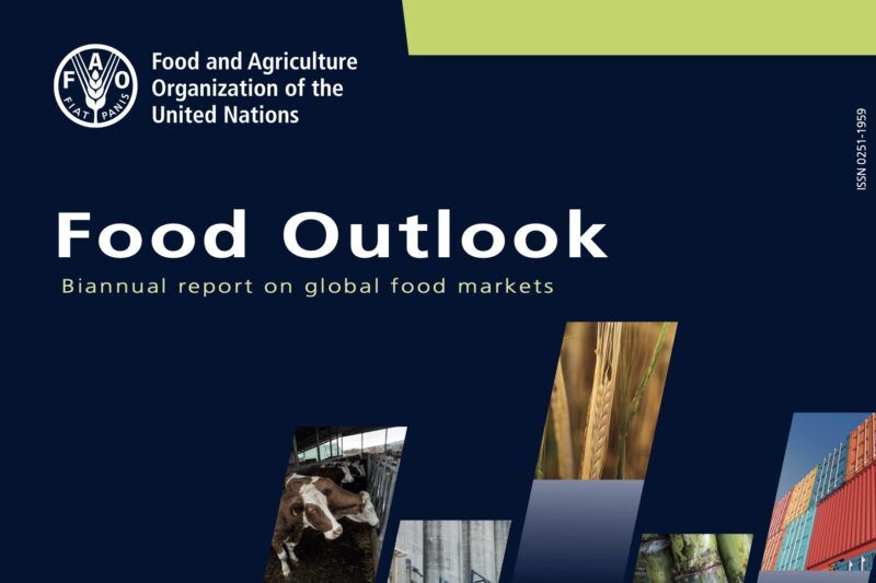 Asia driving global production growth, says FAO