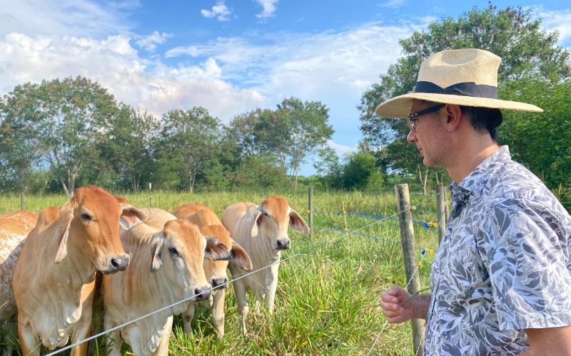 The Rise of Small Farmers in Tesalia: A Paradigm of Cooperation