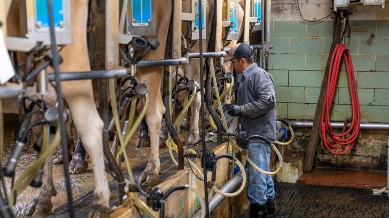 Dairy Advocates Lobby for Agricultural Labor Reform on Capitol Hill
