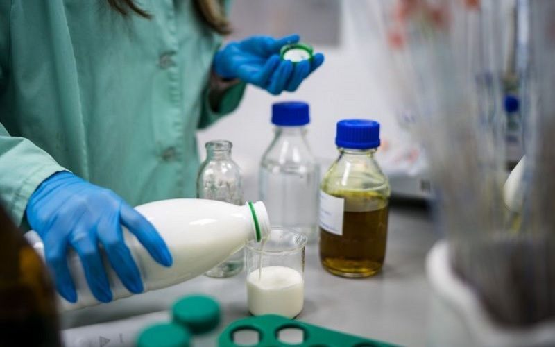 SoyuzSnab Bilim İnsanları Çin Süt Ürünleri Pazarı için Yeni 'Kremamsı' Bir Tür Geliştirdi