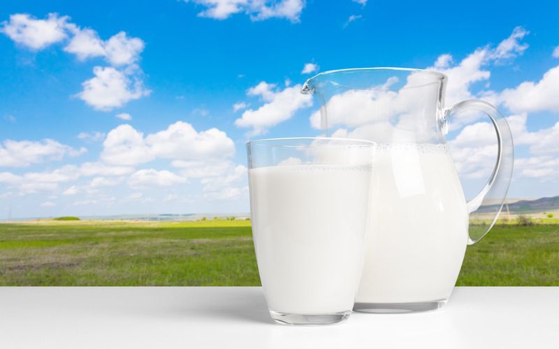 How Hungary can help Kazakh farmers increase their return on investment in dairy production