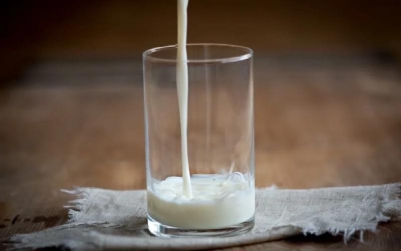 Dairy Farmers Lead Income Growth in 2025 Amid Varied Agricultural Trends