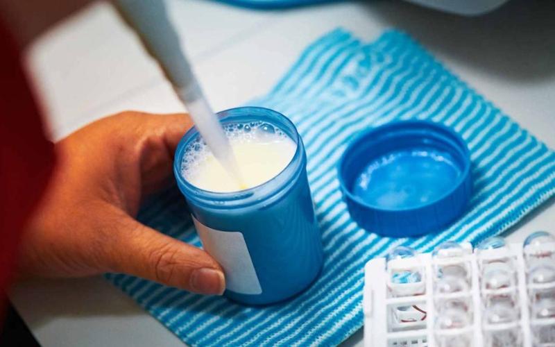 Pencap Hükümeti, Süt Hileciliğiyle Mücadele İçin Mobil Filoyu Görevlendirdi